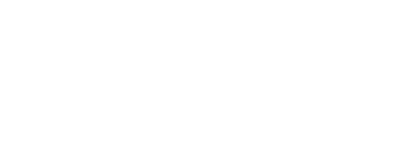 Wedding Insurance Footer - Niche Insurance Logo